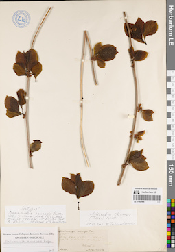 LE 01082468