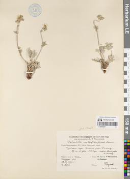 LE 00054847