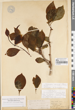 LE 01082470