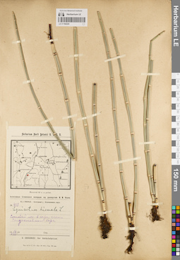 LE 01182224