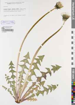 LE 01086843