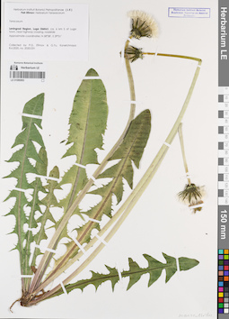 LE 01086993