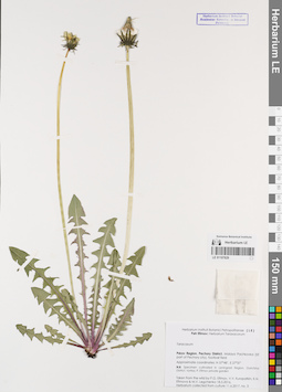 LE 01107829
