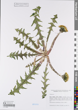 LE 01149252