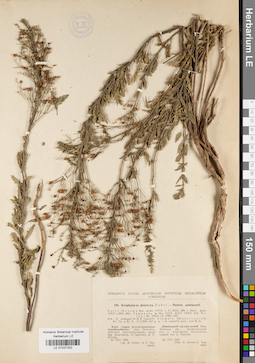 LE 01027332