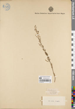 LE 01053731