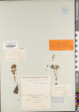 LE 01034827