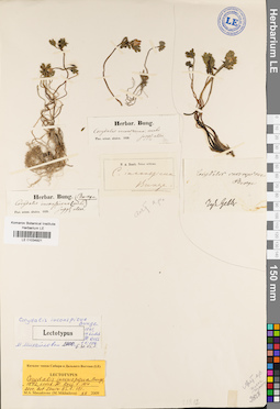 LE 01034921