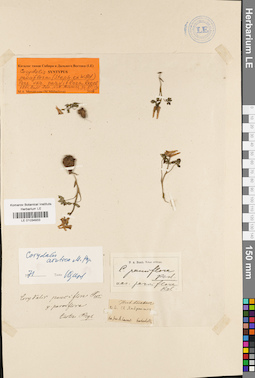 LE 01034933
