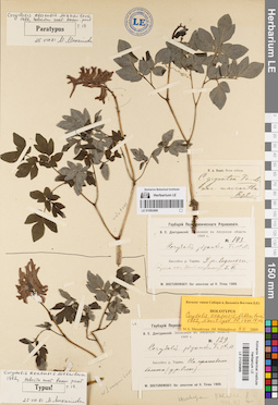 LE 01082499