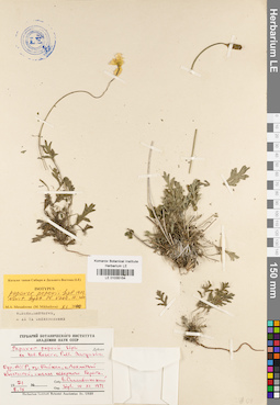 LE 01035154