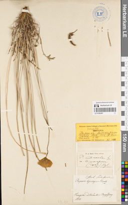 LE 01082491