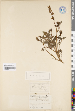 LE 01082496