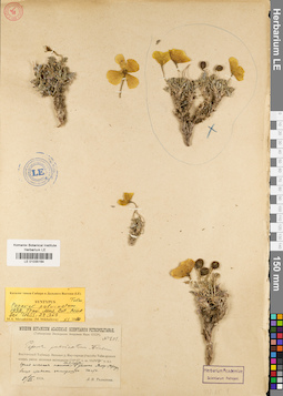 LE 01035164