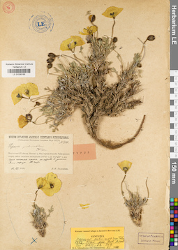 LE 01035165