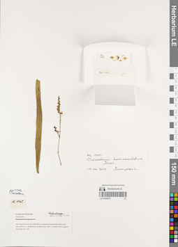 LE 01066615