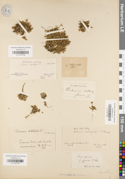 LE 01037199