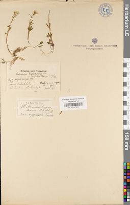 LE 01037203