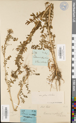 LE 01037209