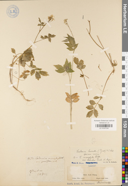 LE 01037230