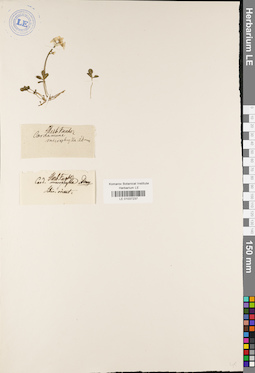 LE 01037237
