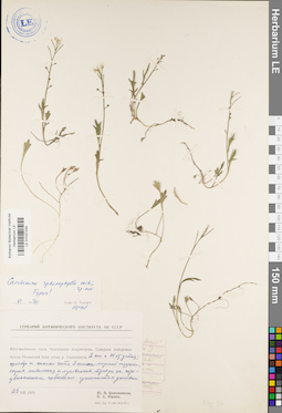 LE 01037249