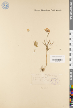 LE 01037257
