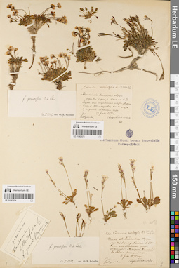LE 01082574
