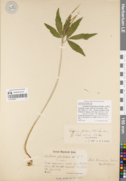 LE 01082578