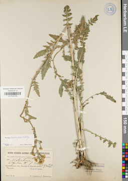 LE 01037164