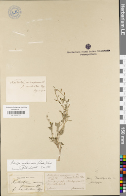 LE 01037171