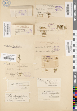 LE 01037294