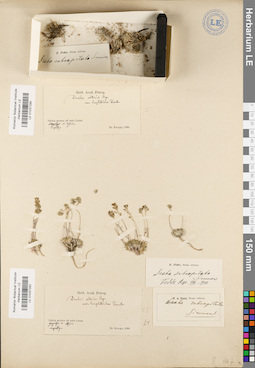 LE 01037295