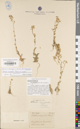 LE 01037428
