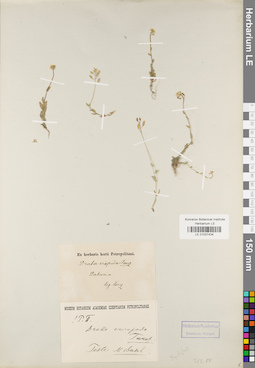 LE 01037434