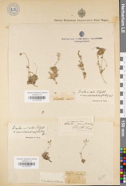LE 01037437