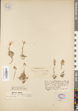 LE 01037455