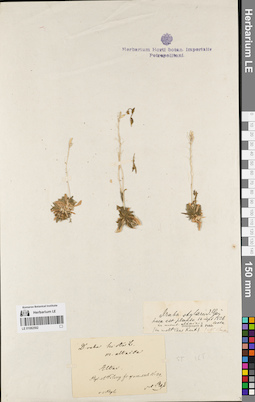 LE 01082592