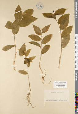LE 01042694