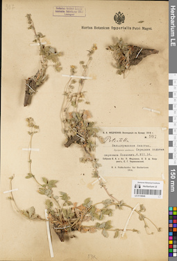 LE 01150949