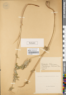 LE 01150954