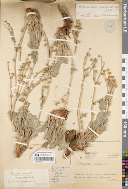 LE 01151233