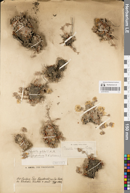 LE 01151313