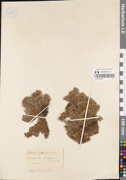 LE 01151354