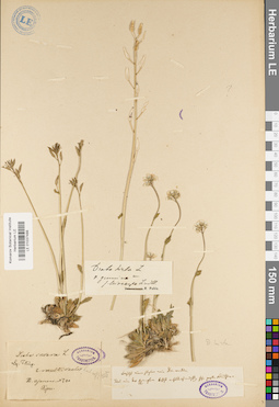 LE 01037488