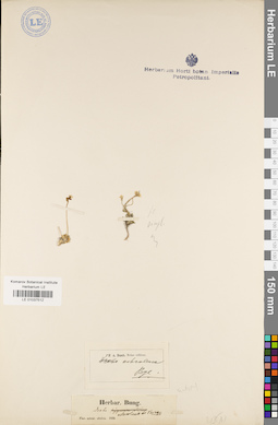 LE 01037512