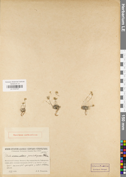 LE 01037527