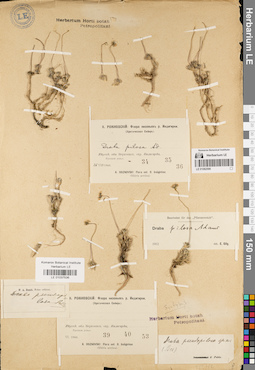 LE 01082599