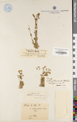 LE 01037571