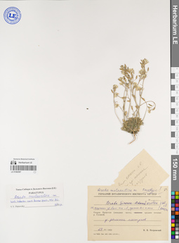 LE 01082597